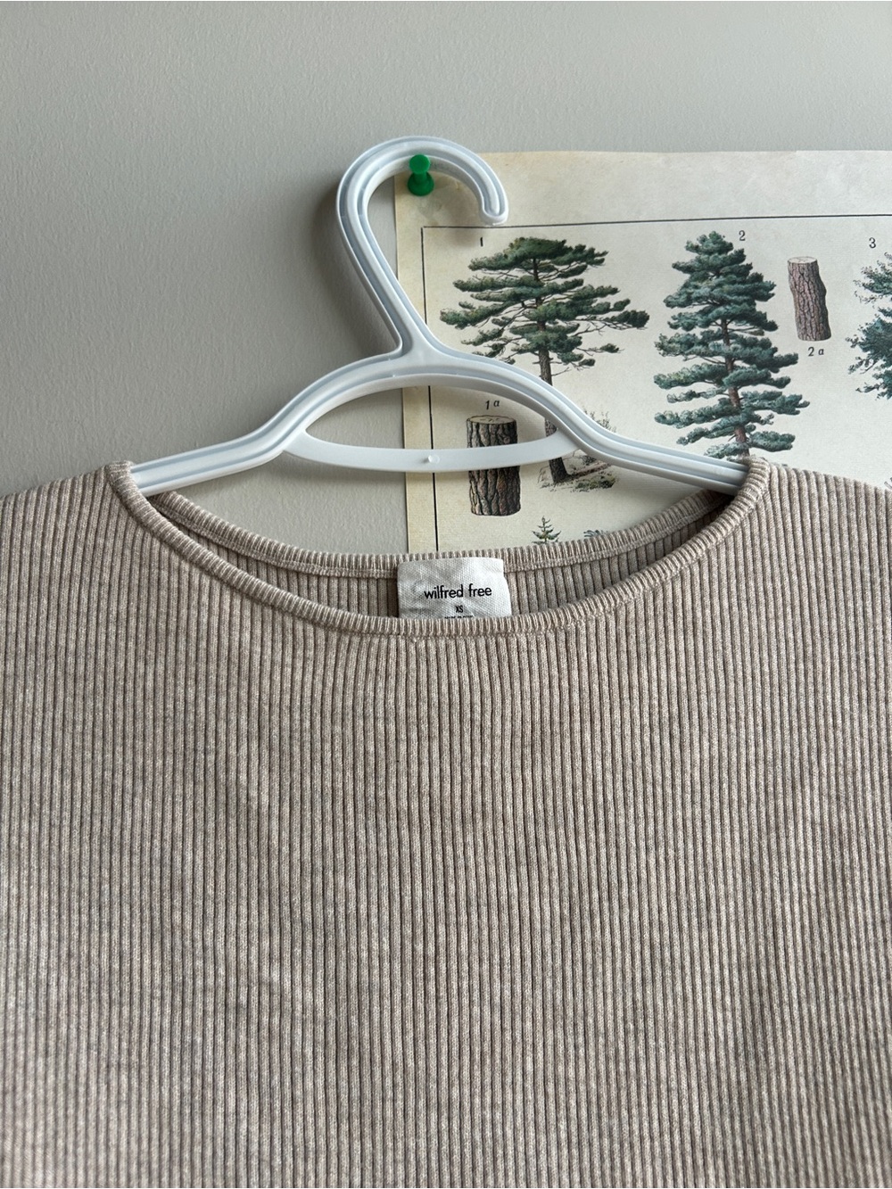 Wilfred Cut-Out Mini Dress XS - Picture 5 of 6